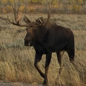 Meet your Posher, Matthew
